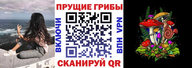 Псилоцибиновые грибы мицелий купить Заинск